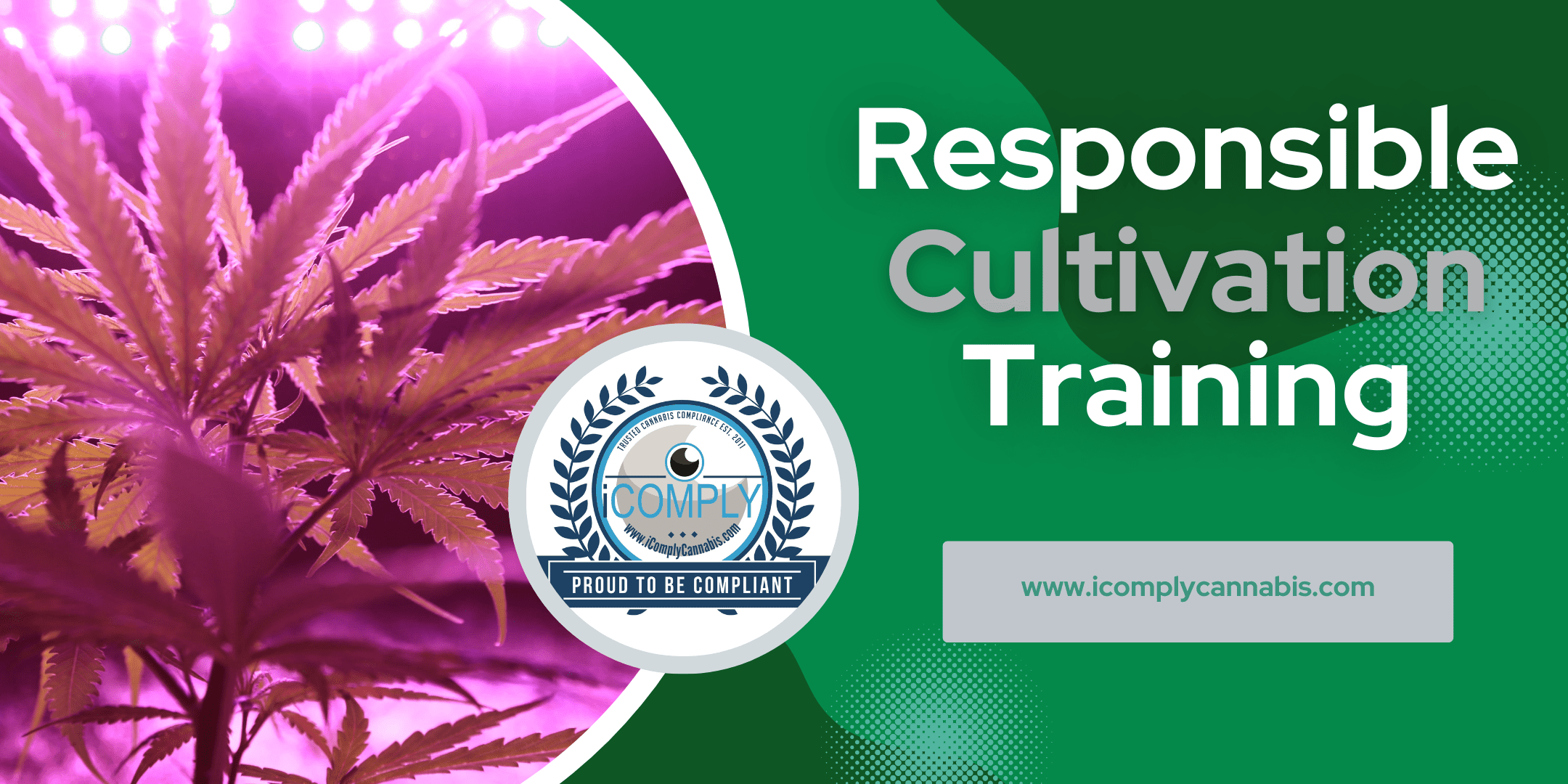 Compliance Trainings - IComply Cannabis