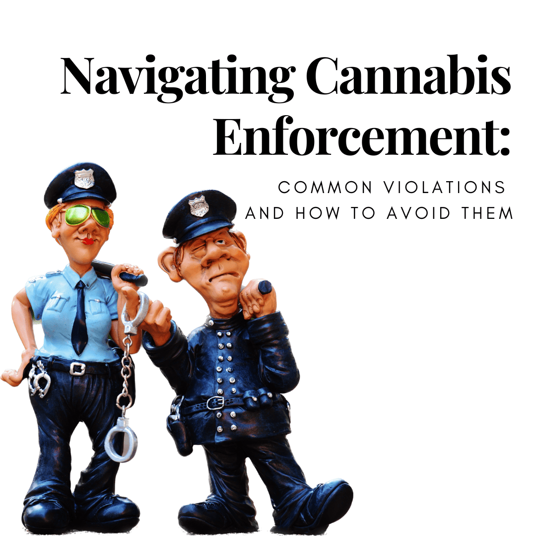 Featured image for “Navigating Cannabis Enforcement: Common Violations and How to Avoid Them”