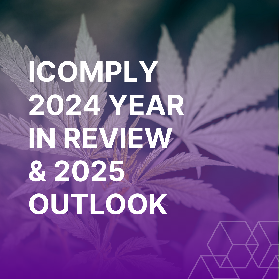 Featured image for “iComply 2024 Year in Review & 2025 Outlook”