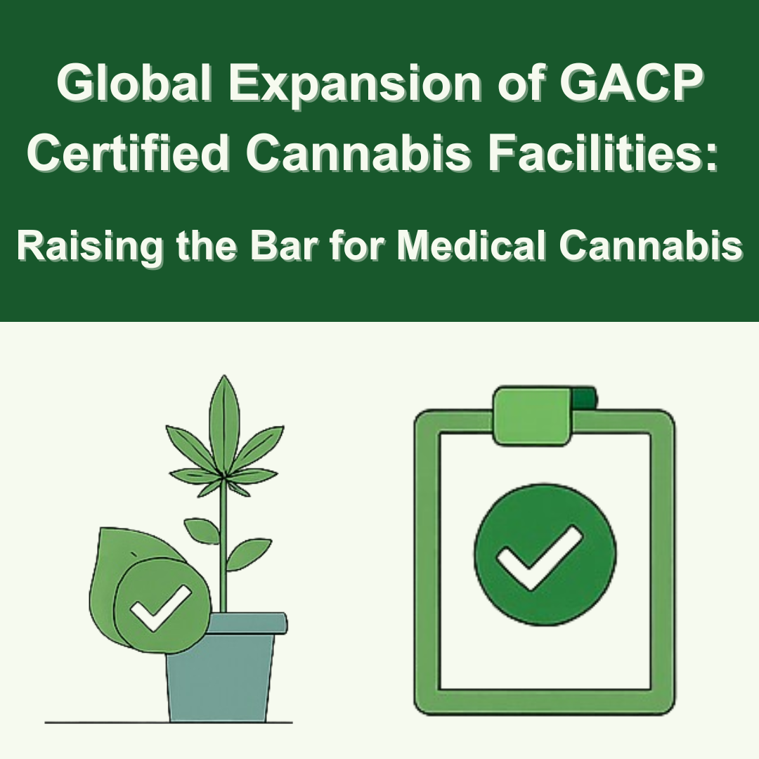Featured image for “GACP Certification for Cannabis: Trends & iComply Support”